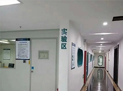 湖州哪个机构可以做DNA鉴定，湖州办理亲子鉴定费用多少钱啊