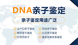 常州人民医院可以做DNA亲子鉴定吗，常州医院办理DNA亲子鉴定需要的材料