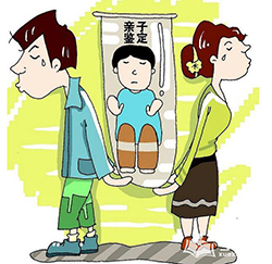 六安个人DNA亲子鉴定具体流程，六安个人亲子鉴定价格