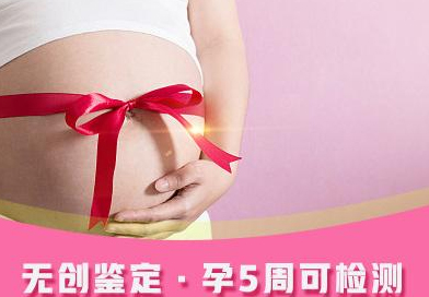 德阳刚怀孕要如何办理胎儿亲子鉴定,德阳做无创孕期亲子鉴定大概价格 德阳刚怀孕要如何办理胎儿亲子鉴定,德阳做无创孕期亲子鉴定大概价格