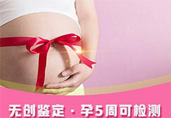 广东怀孕37天需要怎么办理无创产前亲子鉴定，在广东做无创孕期亲子鉴定费用是多少