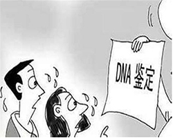阿拉善盟户籍亲子鉴定准确可靠吗
