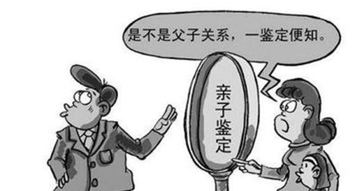 父子做亲子鉴定多少钱？
