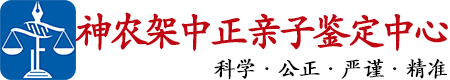 中正DNA神农架亲子鉴定中心