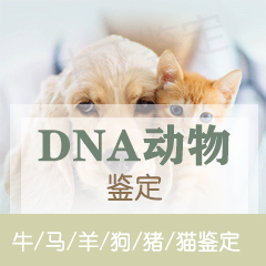 动物鉴定